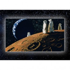 SAVE OUR PLANET Meerkat Moon